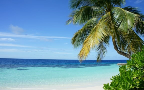 5-razones-para-invertir-en-una-casa-en-playa-del-carmen-2