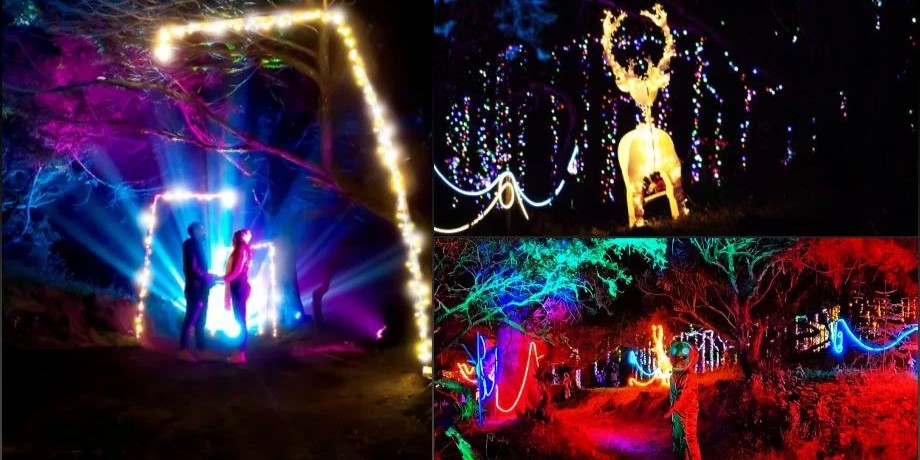 Bosque iluminado en Hidalgo, Pachuca. Hay decoraciones navideñas como luces en los árboles, un venado, y colores navideños. Una pareja disfrutando.