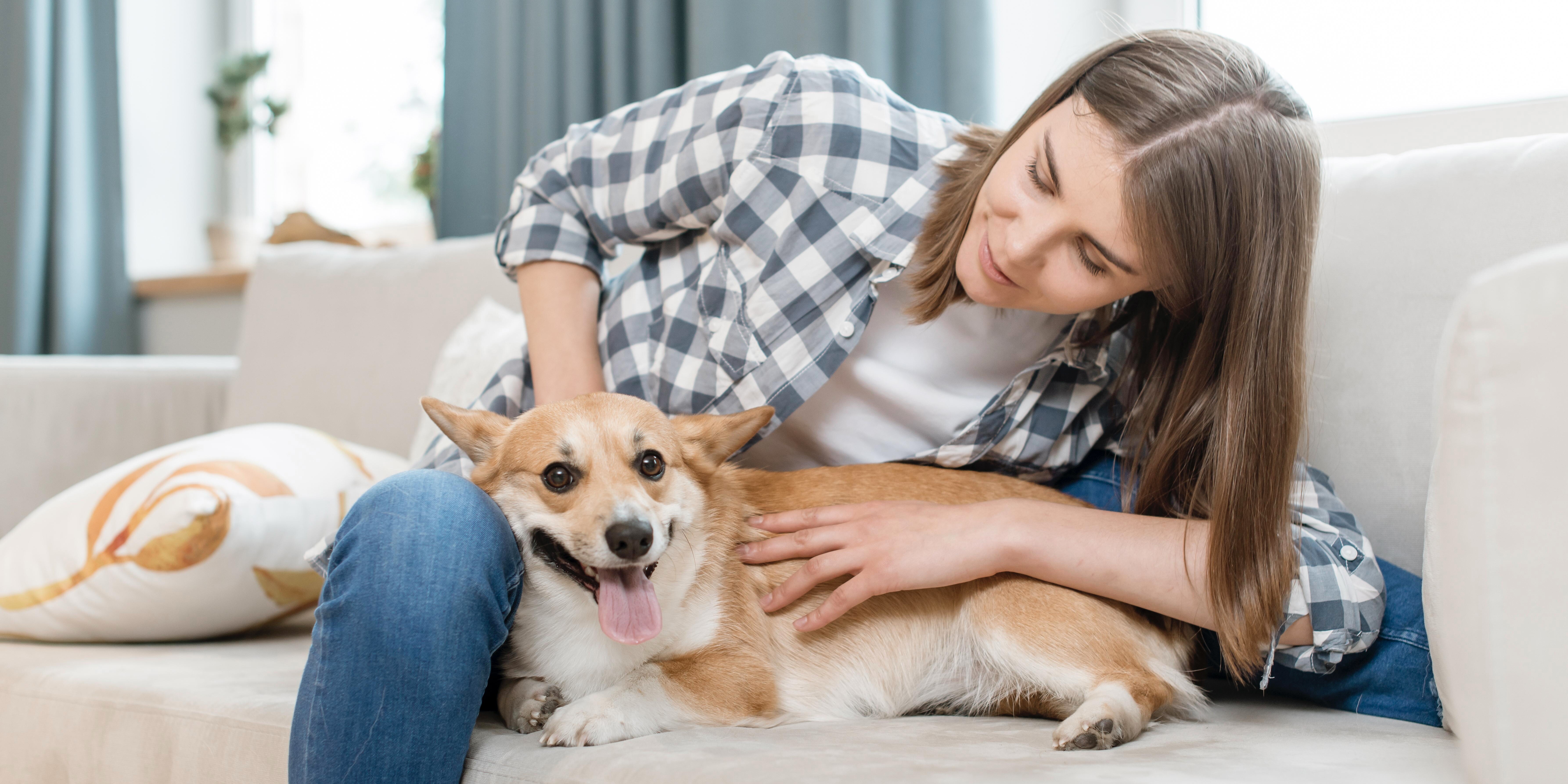 Mujer en el sillón abrazando a su perro. Adaptar tu casa para mascotas