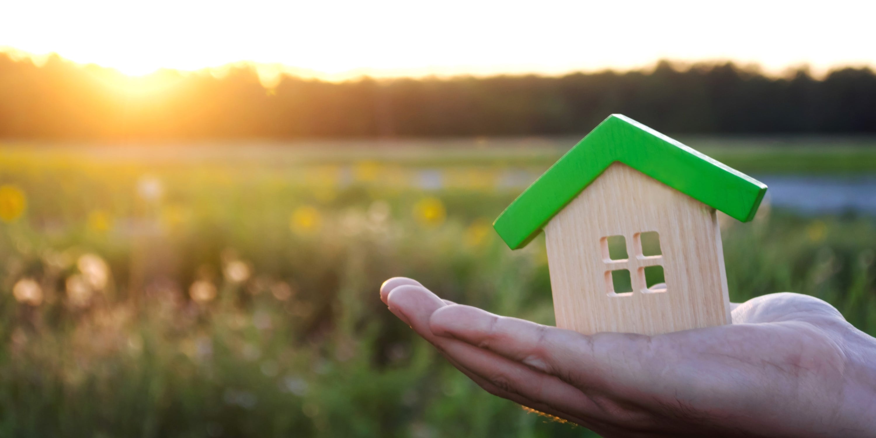 Conavi para ayydar a comprar una casa.