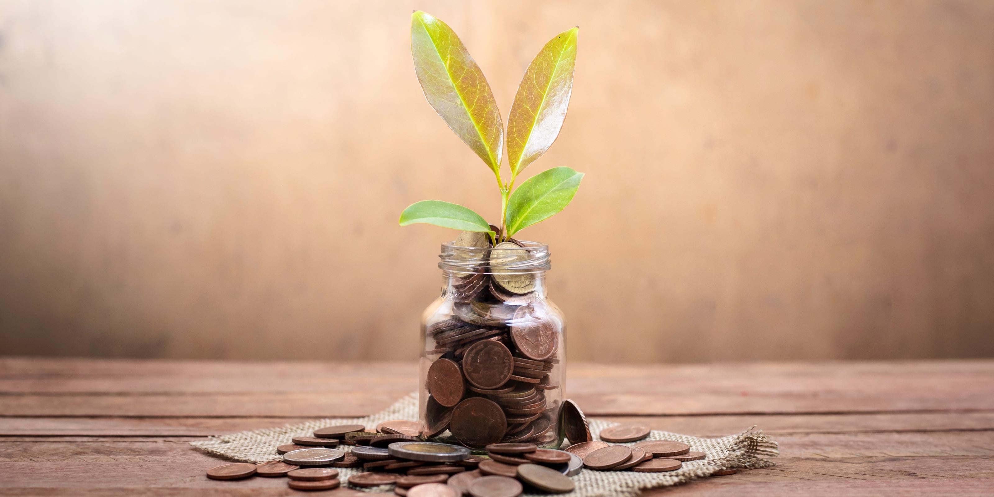 Una jarra de cristal repleto de monedas, y retoño de planta. Representa inversión segura del dinero.
