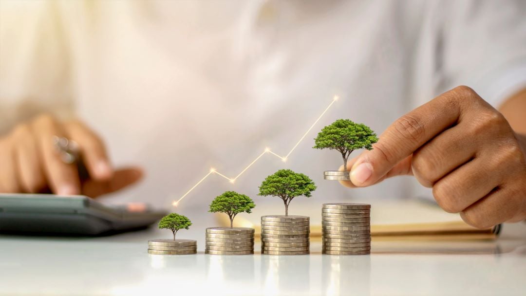 Moneas apiladas en cuatro columnas crecientes. Hay arboles miniatura en la cima de cada uno. Un hombre hace cálculos de ahorro.