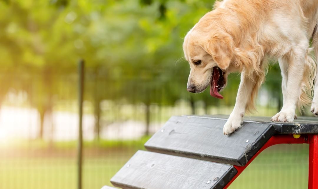 shutterstock_2210439679